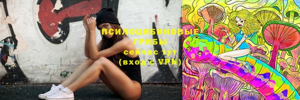СК Осинники