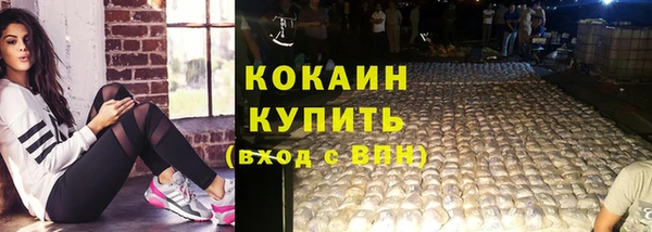СК Осинники