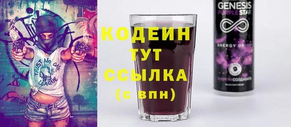 СК Осинники