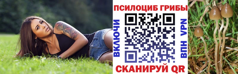 Галлюциногенные грибы мицелий  Унеча 